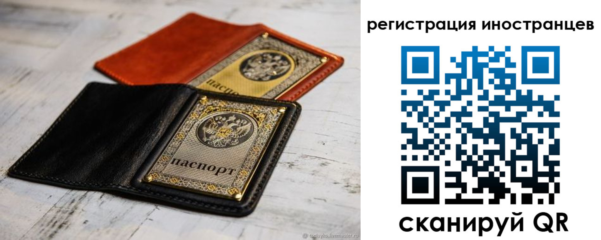 прописка регистрация в Камышине